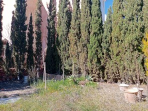 Jardín